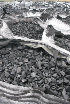Charcoal in Hopper Bags
