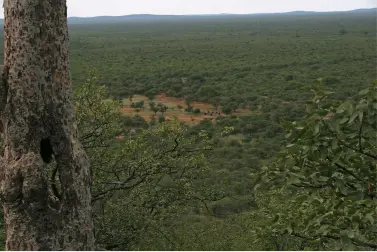 Highview
